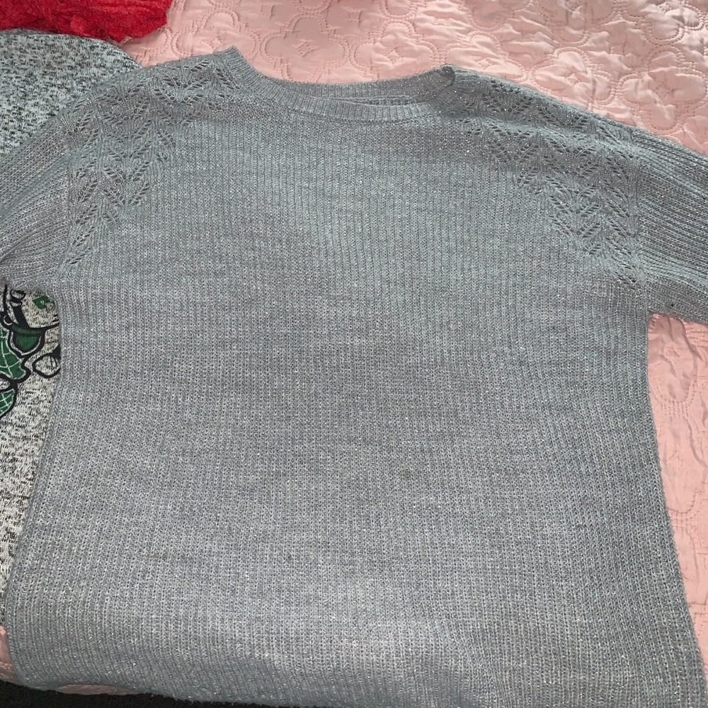 Light grey/sliver sparkly sweater.